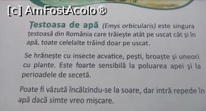 [P39] Parcul Sticlăriei, București » foto by Mioritik
 - 
<span class="allrVoted glyphicon glyphicon-heart hidden" id="av1400005"></span>
<a class="m-l-10 hidden" id="sv1400005" onclick="voting_Foto_DelVot(,1400005,11447)" role="button">șterge vot <span class="glyphicon glyphicon-remove"></span></a>
<a id="v91400005" class=" c-red"  onclick="voting_Foto_SetVot(1400005)" role="button"><span class="glyphicon glyphicon-heart-empty"></span> <b>LIKE</b> = Votează poza</a> <img class="hidden"  id="f1400005W9" src="/imagini/loader.gif" border="0" /><span class="AjErrMes hidden" id="e1400005ErM"></span>