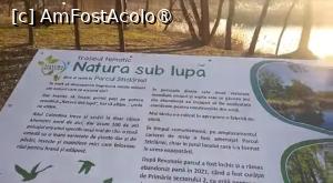[P04] Parcul Sticlăriei, București » foto by Mioritik
 - 
<span class="allrVoted glyphicon glyphicon-heart hidden" id="av1399970"></span>
<a class="m-l-10 hidden" id="sv1399970" onclick="voting_Foto_DelVot(,1399970,11447)" role="button">șterge vot <span class="glyphicon glyphicon-remove"></span></a>
<a id="v91399970" class=" c-red"  onclick="voting_Foto_SetVot(1399970)" role="button"><span class="glyphicon glyphicon-heart-empty"></span> <b>LIKE</b> = Votează poza</a> <img class="hidden"  id="f1399970W9" src="/imagini/loader.gif" border="0" /><span class="AjErrMes hidden" id="e1399970ErM"></span>