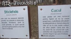 [P40] Parcul Sticlăriei, București » foto by Mioritik
 - 
<span class="allrVoted glyphicon glyphicon-heart hidden" id="av1400006"></span>
<a class="m-l-10 hidden" id="sv1400006" onclick="voting_Foto_DelVot(,1400006,11447)" role="button">șterge vot <span class="glyphicon glyphicon-remove"></span></a>
<a id="v91400006" class=" c-red"  onclick="voting_Foto_SetVot(1400006)" role="button"><span class="glyphicon glyphicon-heart-empty"></span> <b>LIKE</b> = Votează poza</a> <img class="hidden"  id="f1400006W9" src="/imagini/loader.gif" border="0" /><span class="AjErrMes hidden" id="e1400006ErM"></span>