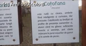 [P42] Parcul Sticlăriei, București » foto by Mioritik
 - 
<span class="allrVoted glyphicon glyphicon-heart hidden" id="av1400008"></span>
<a class="m-l-10 hidden" id="sv1400008" onclick="voting_Foto_DelVot(,1400008,11447)" role="button">șterge vot <span class="glyphicon glyphicon-remove"></span></a>
<a id="v91400008" class=" c-red"  onclick="voting_Foto_SetVot(1400008)" role="button"><span class="glyphicon glyphicon-heart-empty"></span> <b>LIKE</b> = Votează poza</a> <img class="hidden"  id="f1400008W9" src="/imagini/loader.gif" border="0" /><span class="AjErrMes hidden" id="e1400008ErM"></span>