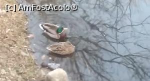 [P43] Parcul Sticlăriei, București » foto by Mioritik
 - 
<span class="allrVoted glyphicon glyphicon-heart hidden" id="av1400009"></span>
<a class="m-l-10 hidden" id="sv1400009" onclick="voting_Foto_DelVot(,1400009,11447)" role="button">șterge vot <span class="glyphicon glyphicon-remove"></span></a>
<a id="v91400009" class=" c-red"  onclick="voting_Foto_SetVot(1400009)" role="button"><span class="glyphicon glyphicon-heart-empty"></span> <b>LIKE</b> = Votează poza</a> <img class="hidden"  id="f1400009W9" src="/imagini/loader.gif" border="0" /><span class="AjErrMes hidden" id="e1400009ErM"></span>