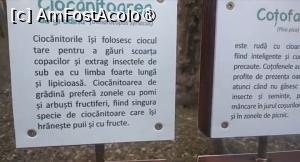 [P44] Parcul Sticlăriei, București » foto by Mioritik
 - 
<span class="allrVoted glyphicon glyphicon-heart hidden" id="av1400010"></span>
<a class="m-l-10 hidden" id="sv1400010" onclick="voting_Foto_DelVot(,1400010,11447)" role="button">șterge vot <span class="glyphicon glyphicon-remove"></span></a>
<a id="v91400010" class=" c-red"  onclick="voting_Foto_SetVot(1400010)" role="button"><span class="glyphicon glyphicon-heart-empty"></span> <b>LIKE</b> = Votează poza</a> <img class="hidden"  id="f1400010W9" src="/imagini/loader.gif" border="0" /><span class="AjErrMes hidden" id="e1400010ErM"></span>