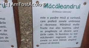 [P45] Parcul Sticlăriei, București » foto by Mioritik
 - 
<span class="allrVoted glyphicon glyphicon-heart hidden" id="av1400011"></span>
<a class="m-l-10 hidden" id="sv1400011" onclick="voting_Foto_DelVot(,1400011,11447)" role="button">șterge vot <span class="glyphicon glyphicon-remove"></span></a>
<a id="v91400011" class=" c-red"  onclick="voting_Foto_SetVot(1400011)" role="button"><span class="glyphicon glyphicon-heart-empty"></span> <b>LIKE</b> = Votează poza</a> <img class="hidden"  id="f1400011W9" src="/imagini/loader.gif" border="0" /><span class="AjErrMes hidden" id="e1400011ErM"></span>