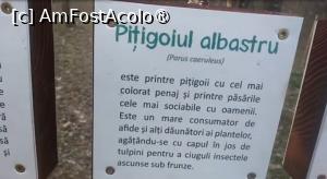 [P47] Parcul Sticlăriei, București » foto by Mioritik
 - 
<span class="allrVoted glyphicon glyphicon-heart hidden" id="av1400013"></span>
<a class="m-l-10 hidden" id="sv1400013" onclick="voting_Foto_DelVot(,1400013,11447)" role="button">șterge vot <span class="glyphicon glyphicon-remove"></span></a>
<a id="v91400013" class=" c-red"  onclick="voting_Foto_SetVot(1400013)" role="button"><span class="glyphicon glyphicon-heart-empty"></span> <b>LIKE</b> = Votează poza</a> <img class="hidden"  id="f1400013W9" src="/imagini/loader.gif" border="0" /><span class="AjErrMes hidden" id="e1400013ErM"></span>