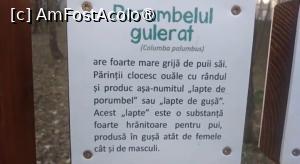 [P49] Parcul Sticlăriei, București » foto by Mioritik
 - 
<span class="allrVoted glyphicon glyphicon-heart hidden" id="av1400015"></span>
<a class="m-l-10 hidden" id="sv1400015" onclick="voting_Foto_DelVot(,1400015,11447)" role="button">șterge vot <span class="glyphicon glyphicon-remove"></span></a>
<a id="v91400015" class=" c-red"  onclick="voting_Foto_SetVot(1400015)" role="button"><span class="glyphicon glyphicon-heart-empty"></span> <b>LIKE</b> = Votează poza</a> <img class="hidden"  id="f1400015W9" src="/imagini/loader.gif" border="0" /><span class="AjErrMes hidden" id="e1400015ErM"></span>