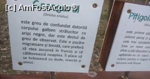 [P50] Parcul Sticlăriei, București » foto by Mioritik
 - 
<span class="allrVoted glyphicon glyphicon-heart hidden" id="av1400016"></span>
<a class="m-l-10 hidden" id="sv1400016" onclick="voting_Foto_DelVot(,1400016,11447)" role="button">șterge vot <span class="glyphicon glyphicon-remove"></span></a>
<a id="v91400016" class=" c-red"  onclick="voting_Foto_SetVot(1400016)" role="button"><span class="glyphicon glyphicon-heart-empty"></span> <b>LIKE</b> = Votează poza</a> <img class="hidden"  id="f1400016W9" src="/imagini/loader.gif" border="0" /><span class="AjErrMes hidden" id="e1400016ErM"></span>