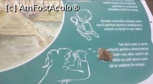 [P53] Parcul Sticlăriei, București » foto by Mioritik
 - 
<span class="allrVoted glyphicon glyphicon-heart hidden" id="av1400019"></span>
<a class="m-l-10 hidden" id="sv1400019" onclick="voting_Foto_DelVot(,1400019,11447)" role="button">șterge vot <span class="glyphicon glyphicon-remove"></span></a>
<a id="v91400019" class=" c-red"  onclick="voting_Foto_SetVot(1400019)" role="button"><span class="glyphicon glyphicon-heart-empty"></span> <b>LIKE</b> = Votează poza</a> <img class="hidden"  id="f1400019W9" src="/imagini/loader.gif" border="0" /><span class="AjErrMes hidden" id="e1400019ErM"></span>