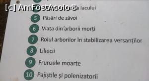 [P09] Parcul Sticlăriei, București » foto by Mioritik
 - 
<span class="allrVoted glyphicon glyphicon-heart hidden" id="av1399975"></span>
<a class="m-l-10 hidden" id="sv1399975" onclick="voting_Foto_DelVot(,1399975,11447)" role="button">șterge vot <span class="glyphicon glyphicon-remove"></span></a>
<a id="v91399975" class=" c-red"  onclick="voting_Foto_SetVot(1399975)" role="button"><span class="glyphicon glyphicon-heart-empty"></span> <b>LIKE</b> = Votează poza</a> <img class="hidden"  id="f1399975W9" src="/imagini/loader.gif" border="0" /><span class="AjErrMes hidden" id="e1399975ErM"></span>