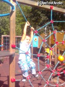 [P18] Un ,,spider-men'' al reformelor ...panza alocata parcului ,pare mult prea ,,groasa''obrazului de la guvernare....Un astfel de loc de joaca ,ne costa cam 10000 de euro ,bani publici ,nu? » foto by Marian Preda
 - 
<span class="allrVoted glyphicon glyphicon-heart hidden" id="av250794"></span>
<a class="m-l-10 hidden" id="sv250794" onclick="voting_Foto_DelVot(,250794,11447)" role="button">șterge vot <span class="glyphicon glyphicon-remove"></span></a>
<a id="v9250794" class=" c-red"  onclick="voting_Foto_SetVot(250794)" role="button"><span class="glyphicon glyphicon-heart-empty"></span> <b>LIKE</b> = Votează poza</a> <img class="hidden"  id="f250794W9" src="/imagini/loader.gif" border="0" /><span class="AjErrMes hidden" id="e250794ErM"></span>