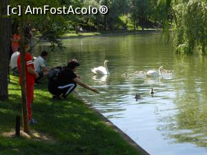 [P10] Bucuresti - Parcul Titan. Doua lebede cu pui. » foto by iulianic
 - 
<span class="allrVoted glyphicon glyphicon-heart hidden" id="av1303885"></span>
<a class="m-l-10 hidden" id="sv1303885" onclick="voting_Foto_DelVot(,1303885,11447)" role="button">șterge vot <span class="glyphicon glyphicon-remove"></span></a>
<a id="v91303885" class=" c-red"  onclick="voting_Foto_SetVot(1303885)" role="button"><span class="glyphicon glyphicon-heart-empty"></span> <b>LIKE</b> = Votează poza</a> <img class="hidden"  id="f1303885W9" src="/imagini/loader.gif" border="0" /><span class="AjErrMes hidden" id="e1303885ErM"></span>