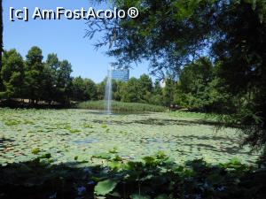 [P12] București - Parcul Circului Metropolitan. Fântâna arteziană. » foto by iulianic
 - 
<span class="allrVoted glyphicon glyphicon-heart hidden" id="av1316569"></span>
<a class="m-l-10 hidden" id="sv1316569" onclick="voting_Foto_DelVot(,1316569,11447)" role="button">șterge vot <span class="glyphicon glyphicon-remove"></span></a>
<a id="v91316569" class=" c-red"  onclick="voting_Foto_SetVot(1316569)" role="button"><span class="glyphicon glyphicon-heart-empty"></span> <b>LIKE</b> = Votează poza</a> <img class="hidden"  id="f1316569W9" src="/imagini/loader.gif" border="0" /><span class="AjErrMes hidden" id="e1316569ErM"></span>