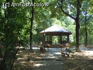 [P20] Bucuresti - Parcul Kiseleff. » foto by iulianic
 - 
<span class="allrVoted glyphicon glyphicon-heart hidden" id="av1381098"></span>
<a class="m-l-10 hidden" id="sv1381098" onclick="voting_Foto_DelVot(,1381098,11447)" role="button">șterge vot <span class="glyphicon glyphicon-remove"></span></a>
<a id="v91381098" class=" c-red"  onclick="voting_Foto_SetVot(1381098)" role="button"><span class="glyphicon glyphicon-heart-empty"></span> <b>LIKE</b> = Votează poza</a> <img class="hidden"  id="f1381098W9" src="/imagini/loader.gif" border="0" /><span class="AjErrMes hidden" id="e1381098ErM"></span>