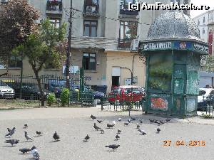 [P51] Bucureşti - Parcul Cişmigiu. Chioşcul de ziare.  » foto by iulianic
 - 
<span class="allrVoted glyphicon glyphicon-heart hidden" id="av613737"></span>
<a class="m-l-10 hidden" id="sv613737" onclick="voting_Foto_DelVot(,613737,11447)" role="button">șterge vot <span class="glyphicon glyphicon-remove"></span></a>
<a id="v9613737" class=" c-red"  onclick="voting_Foto_SetVot(613737)" role="button"><span class="glyphicon glyphicon-heart-empty"></span> <b>LIKE</b> = Votează poza</a> <img class="hidden"  id="f613737W9" src="/imagini/loader.gif" border="0" /><span class="AjErrMes hidden" id="e613737ErM"></span>