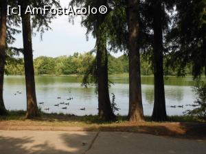 [P10] Parcul Tineretului - Malul lacului și rațe plutind pe apă. » foto by iulianic
 - 
<span class="allrVoted glyphicon glyphicon-heart hidden" id="av1169967"></span>
<a class="m-l-10 hidden" id="sv1169967" onclick="voting_Foto_DelVot(,1169967,11447)" role="button">șterge vot <span class="glyphicon glyphicon-remove"></span></a>
<a id="v91169967" class=" c-red"  onclick="voting_Foto_SetVot(1169967)" role="button"><span class="glyphicon glyphicon-heart-empty"></span> <b>LIKE</b> = Votează poza</a> <img class="hidden"  id="f1169967W9" src="/imagini/loader.gif" border="0" /><span class="AjErrMes hidden" id="e1169967ErM"></span>