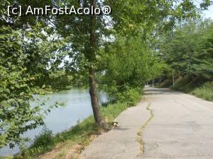 [P12] Parcul Tineretului - Alee pe malul lacului. » foto by iulianic
 - 
<span class="allrVoted glyphicon glyphicon-heart hidden" id="av1169969"></span>
<a class="m-l-10 hidden" id="sv1169969" onclick="voting_Foto_DelVot(,1169969,11447)" role="button">șterge vot <span class="glyphicon glyphicon-remove"></span></a>
<a id="v91169969" class=" c-red"  onclick="voting_Foto_SetVot(1169969)" role="button"><span class="glyphicon glyphicon-heart-empty"></span> <b>LIKE</b> = Votează poza</a> <img class="hidden"  id="f1169969W9" src="/imagini/loader.gif" border="0" /><span class="AjErrMes hidden" id="e1169969ErM"></span>