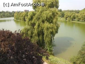 [P17] Parcul Tineretului - Lacul văzut de pe podul de promenadă. » foto by iulianic
 - 
<span class="allrVoted glyphicon glyphicon-heart hidden" id="av1169974"></span>
<a class="m-l-10 hidden" id="sv1169974" onclick="voting_Foto_DelVot(,1169974,11447)" role="button">șterge vot <span class="glyphicon glyphicon-remove"></span></a>
<a id="v91169974" class=" c-red"  onclick="voting_Foto_SetVot(1169974)" role="button"><span class="glyphicon glyphicon-heart-empty"></span> <b>LIKE</b> = Votează poza</a> <img class="hidden"  id="f1169974W9" src="/imagini/loader.gif" border="0" /><span class="AjErrMes hidden" id="e1169974ErM"></span>