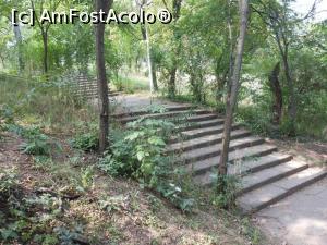 [P08] Parcul Tineretului - În coborâre spre lac. » foto by iulianic
 - 
<span class="allrVoted glyphicon glyphicon-heart hidden" id="av1169965"></span>
<a class="m-l-10 hidden" id="sv1169965" onclick="voting_Foto_DelVot(,1169965,11447)" role="button">șterge vot <span class="glyphicon glyphicon-remove"></span></a>
<a id="v91169965" class=" c-red"  onclick="voting_Foto_SetVot(1169965)" role="button"><span class="glyphicon glyphicon-heart-empty"></span> <b>LIKE</b> = Votează poza</a> <img class="hidden"  id="f1169965W9" src="/imagini/loader.gif" border="0" /><span class="AjErrMes hidden" id="e1169965ErM"></span>