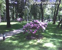 [P02] Parcul Kiseleff - plin de culoare » foto by Dragoș_MD
 - 
<span class="allrVoted glyphicon glyphicon-heart hidden" id="av75466"></span>
<a class="m-l-10 hidden" id="sv75466" onclick="voting_Foto_DelVot(,75466,11447)" role="button">șterge vot <span class="glyphicon glyphicon-remove"></span></a>
<a id="v975466" class=" c-red"  onclick="voting_Foto_SetVot(75466)" role="button"><span class="glyphicon glyphicon-heart-empty"></span> <b>LIKE</b> = Votează poza</a> <img class="hidden"  id="f75466W9" src="/imagini/loader.gif" border="0" /><span class="AjErrMes hidden" id="e75466ErM"></span>