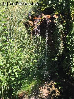 [P18] cascada artificala » foto by Dan&Ema
 - 
<span class="allrVoted glyphicon glyphicon-heart hidden" id="av803865"></span>
<a class="m-l-10 hidden" id="sv803865" onclick="voting_Foto_DelVot(,803865,11447)" role="button">șterge vot <span class="glyphicon glyphicon-remove"></span></a>
<a id="v9803865" class=" c-red"  onclick="voting_Foto_SetVot(803865)" role="button"><span class="glyphicon glyphicon-heart-empty"></span> <b>LIKE</b> = Votează poza</a> <img class="hidden"  id="f803865W9" src="/imagini/loader.gif" border="0" /><span class="AjErrMes hidden" id="e803865ErM"></span>