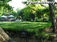 [P11] Bucuresti - Parcul Cismigiu - multa, multa verdeata » foto by Diaura*
 - 
<span class="allrVoted glyphicon glyphicon-heart hidden" id="av316284"></span>
<a class="m-l-10 hidden" id="sv316284" onclick="voting_Foto_DelVot(,316284,11447)" role="button">șterge vot <span class="glyphicon glyphicon-remove"></span></a>
<a id="v9316284" class=" c-red"  onclick="voting_Foto_SetVot(316284)" role="button"><span class="glyphicon glyphicon-heart-empty"></span> <b>LIKE</b> = Votează poza</a> <img class="hidden"  id="f316284W9" src="/imagini/loader.gif" border="0" /><span class="AjErrMes hidden" id="e316284ErM"></span>