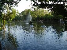 [P14] Bucuresti - Parcul Cismigiu - fantana arteziana din mijlocul lacului » foto by Diaura*
 - 
<span class="allrVoted glyphicon glyphicon-heart hidden" id="av316287"></span>
<a class="m-l-10 hidden" id="sv316287" onclick="voting_Foto_DelVot(,316287,11447)" role="button">șterge vot <span class="glyphicon glyphicon-remove"></span></a>
<a id="v9316287" class=" c-red"  onclick="voting_Foto_SetVot(316287)" role="button"><span class="glyphicon glyphicon-heart-empty"></span> <b>LIKE</b> = Votează poza</a> <img class="hidden"  id="f316287W9" src="/imagini/loader.gif" border="0" /><span class="AjErrMes hidden" id="e316287ErM"></span>