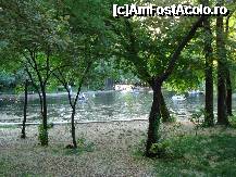 [P17] Bucuresti - Parcul Cismigiu - o placere sa te plimbi pe lac » foto by Diaura*
 - 
<span class="allrVoted glyphicon glyphicon-heart hidden" id="av316290"></span>
<a class="m-l-10 hidden" id="sv316290" onclick="voting_Foto_DelVot(,316290,11447)" role="button">șterge vot <span class="glyphicon glyphicon-remove"></span></a>
<a id="v9316290" class=" c-red"  onclick="voting_Foto_SetVot(316290)" role="button"><span class="glyphicon glyphicon-heart-empty"></span> <b>LIKE</b> = Votează poza</a> <img class="hidden"  id="f316290W9" src="/imagini/loader.gif" border="0" /><span class="AjErrMes hidden" id="e316290ErM"></span>
