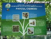 [P20] Bucuresti - Parcul Cismigiu - speciile de lebede si de rate de pe lac » foto by Diaura*
 - 
<span class="allrVoted glyphicon glyphicon-heart hidden" id="av316293"></span>
<a class="m-l-10 hidden" id="sv316293" onclick="voting_Foto_DelVot(,316293,11447)" role="button">șterge vot <span class="glyphicon glyphicon-remove"></span></a>
<a id="v9316293" class=" c-red"  onclick="voting_Foto_SetVot(316293)" role="button"><span class="glyphicon glyphicon-heart-empty"></span> <b>LIKE</b> = Votează poza</a> <img class="hidden"  id="f316293W9" src="/imagini/loader.gif" border="0" /><span class="AjErrMes hidden" id="e316293ErM"></span>