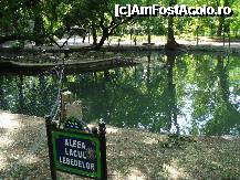 [P23] Bucuresti - Parcul Cismigiu - prima intalnire cu ratele » foto by Diaura*
 - 
<span class="allrVoted glyphicon glyphicon-heart hidden" id="av316296"></span>
<a class="m-l-10 hidden" id="sv316296" onclick="voting_Foto_DelVot(,316296,11447)" role="button">șterge vot <span class="glyphicon glyphicon-remove"></span></a>
<a id="v9316296" class=" c-red"  onclick="voting_Foto_SetVot(316296)" role="button"><span class="glyphicon glyphicon-heart-empty"></span> <b>LIKE</b> = Votează poza</a> <img class="hidden"  id="f316296W9" src="/imagini/loader.gif" border="0" /><span class="AjErrMes hidden" id="e316296ErM"></span>