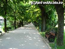 [P31] Bucuresti - Parcul Cismigiu - superba alee cu multe banci noi » foto by Diaura*
 - 
<span class="allrVoted glyphicon glyphicon-heart hidden" id="av316304"></span>
<a class="m-l-10 hidden" id="sv316304" onclick="voting_Foto_DelVot(,316304,11447)" role="button">șterge vot <span class="glyphicon glyphicon-remove"></span></a>
<a id="v9316304" class=" c-red"  onclick="voting_Foto_SetVot(316304)" role="button"><span class="glyphicon glyphicon-heart-empty"></span> <b>LIKE</b> = Votează poza</a> <img class="hidden"  id="f316304W9" src="/imagini/loader.gif" border="0" /><span class="AjErrMes hidden" id="e316304ErM"></span>