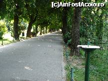 [P38] Bucuresti - Parcul Cismigiu - in caz ca vi se face sete... » foto by Diaura*
 - 
<span class="allrVoted glyphicon glyphicon-heart hidden" id="av316311"></span>
<a class="m-l-10 hidden" id="sv316311" onclick="voting_Foto_DelVot(,316311,11447)" role="button">șterge vot <span class="glyphicon glyphicon-remove"></span></a>
<a id="v9316311" class=" c-red"  onclick="voting_Foto_SetVot(316311)" role="button"><span class="glyphicon glyphicon-heart-empty"></span> <b>LIKE</b> = Votează poza</a> <img class="hidden"  id="f316311W9" src="/imagini/loader.gif" border="0" /><span class="AjErrMes hidden" id="e316311ErM"></span>