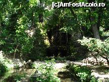 [P39] Bucuresti - Parcul Cismigiu  - 'Cascada ' » foto by Diaura*
 - 
<span class="allrVoted glyphicon glyphicon-heart hidden" id="av316312"></span>
<a class="m-l-10 hidden" id="sv316312" onclick="voting_Foto_DelVot(,316312,11447)" role="button">șterge vot <span class="glyphicon glyphicon-remove"></span></a>
<a id="v9316312" class=" c-red"  onclick="voting_Foto_SetVot(316312)" role="button"><span class="glyphicon glyphicon-heart-empty"></span> <b>LIKE</b> = Votează poza</a> <img class="hidden"  id="f316312W9" src="/imagini/loader.gif" border="0" /><span class="AjErrMes hidden" id="e316312ErM"></span>