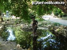 [P40] Bucuresti - Parcul Cismigiu  - cata gingasie. » foto by Diaura*
 - 
<span class="allrVoted glyphicon glyphicon-heart hidden" id="av316313"></span>
<a class="m-l-10 hidden" id="sv316313" onclick="voting_Foto_DelVot(,316313,11447)" role="button">șterge vot <span class="glyphicon glyphicon-remove"></span></a>
<a id="v9316313" class=" c-red"  onclick="voting_Foto_SetVot(316313)" role="button"><span class="glyphicon glyphicon-heart-empty"></span> <b>LIKE</b> = Votează poza</a> <img class="hidden"  id="f316313W9" src="/imagini/loader.gif" border="0" /><span class="AjErrMes hidden" id="e316313ErM"></span>