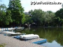 [P41] Bucuresti - Parcul Cismigiu - la debarcader » foto by Diaura*
 - 
<span class="allrVoted glyphicon glyphicon-heart hidden" id="av316314"></span>
<a class="m-l-10 hidden" id="sv316314" onclick="voting_Foto_DelVot(,316314,11447)" role="button">șterge vot <span class="glyphicon glyphicon-remove"></span></a>
<a id="v9316314" class=" c-red"  onclick="voting_Foto_SetVot(316314)" role="button"><span class="glyphicon glyphicon-heart-empty"></span> <b>LIKE</b> = Votează poza</a> <img class="hidden"  id="f316314W9" src="/imagini/loader.gif" border="0" /><span class="AjErrMes hidden" id="e316314ErM"></span>