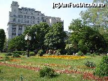 [P48] Bucuresti - Parcul Cismigiu - un ceas cu aer vintage » foto by Diaura*
 - 
<span class="allrVoted glyphicon glyphicon-heart hidden" id="av316321"></span>
<a class="m-l-10 hidden" id="sv316321" onclick="voting_Foto_DelVot(,316321,11447)" role="button">șterge vot <span class="glyphicon glyphicon-remove"></span></a>
<a id="v9316321" class=" c-red"  onclick="voting_Foto_SetVot(316321)" role="button"><span class="glyphicon glyphicon-heart-empty"></span> <b>LIKE</b> = Votează poza</a> <img class="hidden"  id="f316321W9" src="/imagini/loader.gif" border="0" /><span class="AjErrMes hidden" id="e316321ErM"></span>
