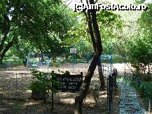 [P51] Bucuresti - Parcul Cismigiu - loc de joaca pentru catei » foto by Diaura*
 - 
<span class="allrVoted glyphicon glyphicon-heart hidden" id="av316324"></span>
<a class="m-l-10 hidden" id="sv316324" onclick="voting_Foto_DelVot(,316324,11447)" role="button">șterge vot <span class="glyphicon glyphicon-remove"></span></a>
<a id="v9316324" class=" c-red"  onclick="voting_Foto_SetVot(316324)" role="button"><span class="glyphicon glyphicon-heart-empty"></span> <b>LIKE</b> = Votează poza</a> <img class="hidden"  id="f316324W9" src="/imagini/loader.gif" border="0" /><span class="AjErrMes hidden" id="e316324ErM"></span>