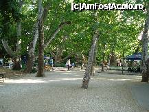 [P08] Bucuresti - Parcul Cismigiu - multi copaci si multa umbra intr-o zi prea calduraoasa de primavara » foto by Diaura*
 - 
<span class="allrVoted glyphicon glyphicon-heart hidden" id="av316281"></span>
<a class="m-l-10 hidden" id="sv316281" onclick="voting_Foto_DelVot(,316281,11447)" role="button">șterge vot <span class="glyphicon glyphicon-remove"></span></a>
<a id="v9316281" class=" c-red"  onclick="voting_Foto_SetVot(316281)" role="button"><span class="glyphicon glyphicon-heart-empty"></span> <b>LIKE</b> = Votează poza</a> <img class="hidden"  id="f316281W9" src="/imagini/loader.gif" border="0" /><span class="AjErrMes hidden" id="e316281ErM"></span>