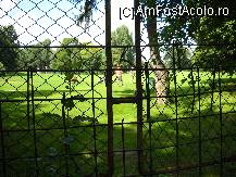[P17]  -- <small>// FĂRĂ DESCRIERE</small> » foto by laurentiucapac
 - 
<span class="allrVoted glyphicon glyphicon-heart hidden" id="av106846"></span>
<a class="m-l-10 hidden" id="sv106846" onclick="voting_Foto_DelVot(,106846,11447)" role="button">șterge vot <span class="glyphicon glyphicon-remove"></span></a>
<a id="v9106846" class=" c-red"  onclick="voting_Foto_SetVot(106846)" role="button"><span class="glyphicon glyphicon-heart-empty"></span> <b>LIKE</b> = Votează poza</a> <img class="hidden"  id="f106846W9" src="/imagini/loader.gif" border="0" /><span class="AjErrMes hidden" id="e106846ErM"></span>