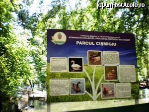 [P01] Prin Parcul Cismigiu.  » foto by melena
 - 
<span class="allrVoted glyphicon glyphicon-heart hidden" id="av640851"></span>
<a class="m-l-10 hidden" id="sv640851" onclick="voting_Foto_DelVot(,640851,11447)" role="button">șterge vot <span class="glyphicon glyphicon-remove"></span></a>
<a id="v9640851" class=" c-red"  onclick="voting_Foto_SetVot(640851)" role="button"><span class="glyphicon glyphicon-heart-empty"></span> <b>LIKE</b> = Votează poza</a> <img class="hidden"  id="f640851W9" src="/imagini/loader.gif" border="0" /><span class="AjErrMes hidden" id="e640851ErM"></span>
