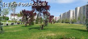 [P12] 12. Primăria se laudă că a realizat 22.000 mp de gazon. » foto by msnd
 - 
<span class="allrVoted glyphicon glyphicon-heart hidden" id="av1368718"></span>
<a class="m-l-10 hidden" id="sv1368718" onclick="voting_Foto_DelVot(,1368718,11447)" role="button">șterge vot <span class="glyphicon glyphicon-remove"></span></a>
<a id="v91368718" class=" c-red"  onclick="voting_Foto_SetVot(1368718)" role="button"><span class="glyphicon glyphicon-heart-empty"></span> <b>LIKE</b> = Votează poza</a> <img class="hidden"  id="f1368718W9" src="/imagini/loader.gif" border="0" /><span class="AjErrMes hidden" id="e1368718ErM"></span>