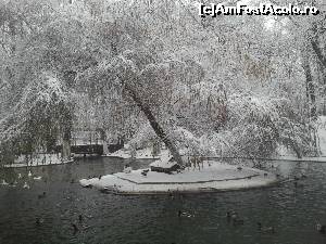 [P53] Iarna pe micul lac din parc.  » foto by Mika
 - 
<span class="allrVoted glyphicon glyphicon-heart hidden" id="av626055"></span>
<a class="m-l-10 hidden" id="sv626055" onclick="voting_Foto_DelVot(,626055,11447)" role="button">șterge vot <span class="glyphicon glyphicon-remove"></span></a>
<a id="v9626055" class=" c-red"  onclick="voting_Foto_SetVot(626055)" role="button"><span class="glyphicon glyphicon-heart-empty"></span> <b>LIKE</b> = Votează poza</a> <img class="hidden"  id="f626055W9" src="/imagini/loader.gif" border="0" /><span class="AjErrMes hidden" id="e626055ErM"></span>