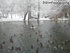 [P54]  -- <small>// FĂRĂ DESCRIERE</small> » foto by Mika
 - 
<span class="allrVoted glyphicon glyphicon-heart hidden" id="av626056"></span>
<a class="m-l-10 hidden" id="sv626056" onclick="voting_Foto_DelVot(,626056,11447)" role="button">șterge vot <span class="glyphicon glyphicon-remove"></span></a>
<a id="v9626056" class=" c-red"  onclick="voting_Foto_SetVot(626056)" role="button"><span class="glyphicon glyphicon-heart-empty"></span> <b>LIKE</b> = Votează poza</a> <img class="hidden"  id="f626056W9" src="/imagini/loader.gif" border="0" /><span class="AjErrMes hidden" id="e626056ErM"></span>
