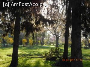 [P16] Lumina sprecurandu-se difuz in parc » foto by cristina47*
 - 
<span class="allrVoted glyphicon glyphicon-heart hidden" id="av843890"></span>
<a class="m-l-10 hidden" id="sv843890" onclick="voting_Foto_DelVot(,843890,11447)" role="button">șterge vot <span class="glyphicon glyphicon-remove"></span></a>
<a id="v9843890" class=" c-red"  onclick="voting_Foto_SetVot(843890)" role="button"><span class="glyphicon glyphicon-heart-empty"></span> <b>LIKE</b> = Votează poza</a> <img class="hidden"  id="f843890W9" src="/imagini/loader.gif" border="0" /><span class="AjErrMes hidden" id="e843890ErM"></span>