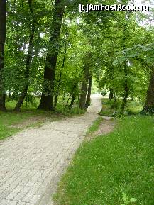 [P19] Parcul Carol I, o alee » foto by magdalena
 - 
<span class="allrVoted glyphicon glyphicon-heart hidden" id="av85344"></span>
<a class="m-l-10 hidden" id="sv85344" onclick="voting_Foto_DelVot(,85344,11447)" role="button">șterge vot <span class="glyphicon glyphicon-remove"></span></a>
<a id="v985344" class=" c-red"  onclick="voting_Foto_SetVot(85344)" role="button"><span class="glyphicon glyphicon-heart-empty"></span> <b>LIKE</b> = Votează poza</a> <img class="hidden"  id="f85344W9" src="/imagini/loader.gif" border="0" /><span class="AjErrMes hidden" id="e85344ErM"></span>