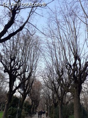 [P10] 10. Una din aleile principale ale parcului.  » foto by doinafil
 - 
<span class="allrVoted glyphicon glyphicon-heart hidden" id="av1140578"></span>
<a class="m-l-10 hidden" id="sv1140578" onclick="voting_Foto_DelVot(,1140578,11447)" role="button">șterge vot <span class="glyphicon glyphicon-remove"></span></a>
<a id="v91140578" class=" c-red"  onclick="voting_Foto_SetVot(1140578)" role="button"><span class="glyphicon glyphicon-heart-empty"></span> <b>LIKE</b> = Votează poza</a> <img class="hidden"  id="f1140578W9" src="/imagini/loader.gif" border="0" /><span class="AjErrMes hidden" id="e1140578ErM"></span>