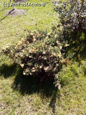 [P37] In parc, peisaj urban, tufis incaruntit,  » foto by danaeldreny*
 - 
<span class="allrVoted glyphicon glyphicon-heart hidden" id="av842836"></span>
<a class="m-l-10 hidden" id="sv842836" onclick="voting_Foto_DelVot(,842836,11447)" role="button">șterge vot <span class="glyphicon glyphicon-remove"></span></a>
<a id="v9842836" class=" c-red"  onclick="voting_Foto_SetVot(842836)" role="button"><span class="glyphicon glyphicon-heart-empty"></span> <b>LIKE</b> = Votează poza</a> <img class="hidden"  id="f842836W9" src="/imagini/loader.gif" border="0" /><span class="AjErrMes hidden" id="e842836ErM"></span>