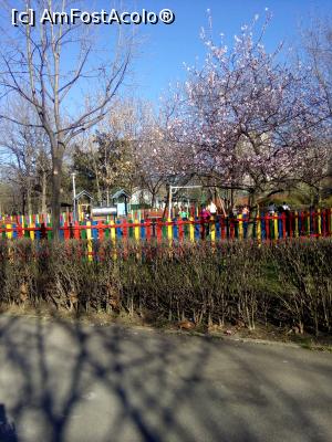 [P10] Parcul Florilor, peisaj urban,  » foto by danaeldreny*
 - 
<span class="allrVoted glyphicon glyphicon-heart hidden" id="av842908"></span>
<a class="m-l-10 hidden" id="sv842908" onclick="voting_Foto_DelVot(,842908,11447)" role="button">șterge vot <span class="glyphicon glyphicon-remove"></span></a>
<a id="v9842908" class=" c-red"  onclick="voting_Foto_SetVot(842908)" role="button"><span class="glyphicon glyphicon-heart-empty"></span> <b>LIKE</b> = Votează poza</a> <img class="hidden"  id="f842908W9" src="/imagini/loader.gif" border="0" /><span class="AjErrMes hidden" id="e842908ErM"></span>