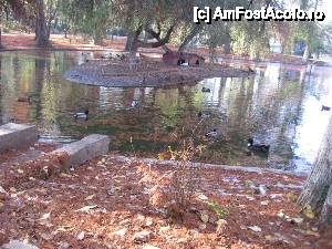 [P04] Culorile toamnei în mijloc de noiembrie » foto by Michi
 - 
<span class="allrVoted glyphicon glyphicon-heart hidden" id="av484836"></span>
<a class="m-l-10 hidden" id="sv484836" onclick="voting_Foto_DelVot(,484836,11447)" role="button">șterge vot <span class="glyphicon glyphicon-remove"></span></a>
<a id="v9484836" class=" c-red"  onclick="voting_Foto_SetVot(484836)" role="button"><span class="glyphicon glyphicon-heart-empty"></span> <b>LIKE</b> = Votează poza</a> <img class="hidden"  id="f484836W9" src="/imagini/loader.gif" border="0" /><span class="AjErrMes hidden" id="e484836ErM"></span>