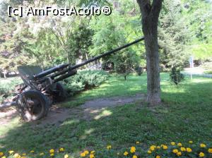 [P20] Tunuri din primul război mondial » foto by Michi
 - 
<span class="allrVoted glyphicon glyphicon-heart hidden" id="av974429"></span>
<a class="m-l-10 hidden" id="sv974429" onclick="voting_Foto_DelVot(,974429,11447)" role="button">șterge vot <span class="glyphicon glyphicon-remove"></span></a>
<a id="v9974429" class=" c-red"  onclick="voting_Foto_SetVot(974429)" role="button"><span class="glyphicon glyphicon-heart-empty"></span> <b>LIKE</b> = Votează poza</a> <img class="hidden"  id="f974429W9" src="/imagini/loader.gif" border="0" /><span class="AjErrMes hidden" id="e974429ErM"></span>