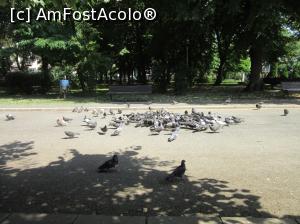 [P07] Adunaţi în jrul unor firimituri » foto by Michi
 - 
<span class="allrVoted glyphicon glyphicon-heart hidden" id="av974385"></span>
<a class="m-l-10 hidden" id="sv974385" onclick="voting_Foto_DelVot(,974385,11447)" role="button">șterge vot <span class="glyphicon glyphicon-remove"></span></a>
<a id="v9974385" class=" c-red"  onclick="voting_Foto_SetVot(974385)" role="button"><span class="glyphicon glyphicon-heart-empty"></span> <b>LIKE</b> = Votează poza</a> <img class="hidden"  id="f974385W9" src="/imagini/loader.gif" border="0" /><span class="AjErrMes hidden" id="e974385ErM"></span>