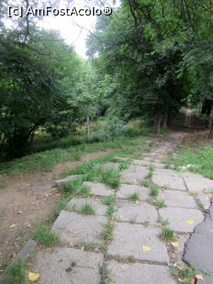 [P10] Coborârea în parc din str. Verdi » foto by Michi
 - 
<span class="allrVoted glyphicon glyphicon-heart hidden" id="av976123"></span>
<a class="m-l-10 hidden" id="sv976123" onclick="voting_Foto_DelVot(,976123,11447)" role="button">șterge vot <span class="glyphicon glyphicon-remove"></span></a>
<a id="v9976123" class=" c-red"  onclick="voting_Foto_SetVot(976123)" role="button"><span class="glyphicon glyphicon-heart-empty"></span> <b>LIKE</b> = Votează poza</a> <img class="hidden"  id="f976123W9" src="/imagini/loader.gif" border="0" /><span class="AjErrMes hidden" id="e976123ErM"></span>